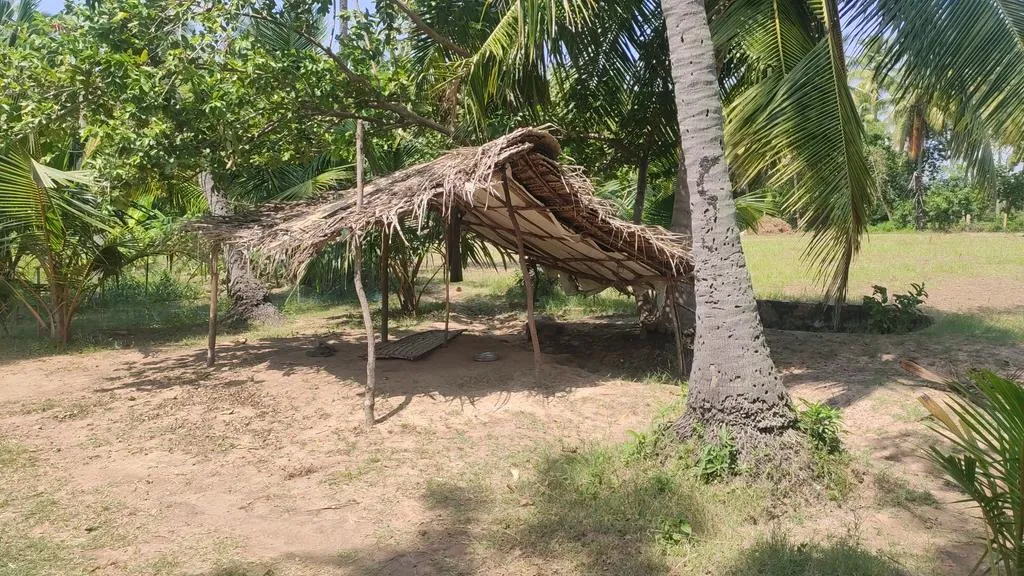 incident in pudukottai